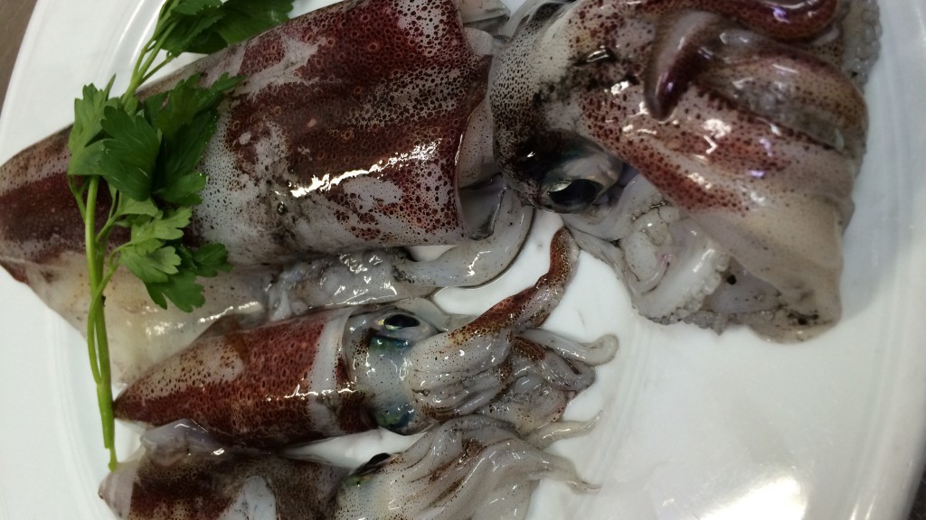 chipirones de potera